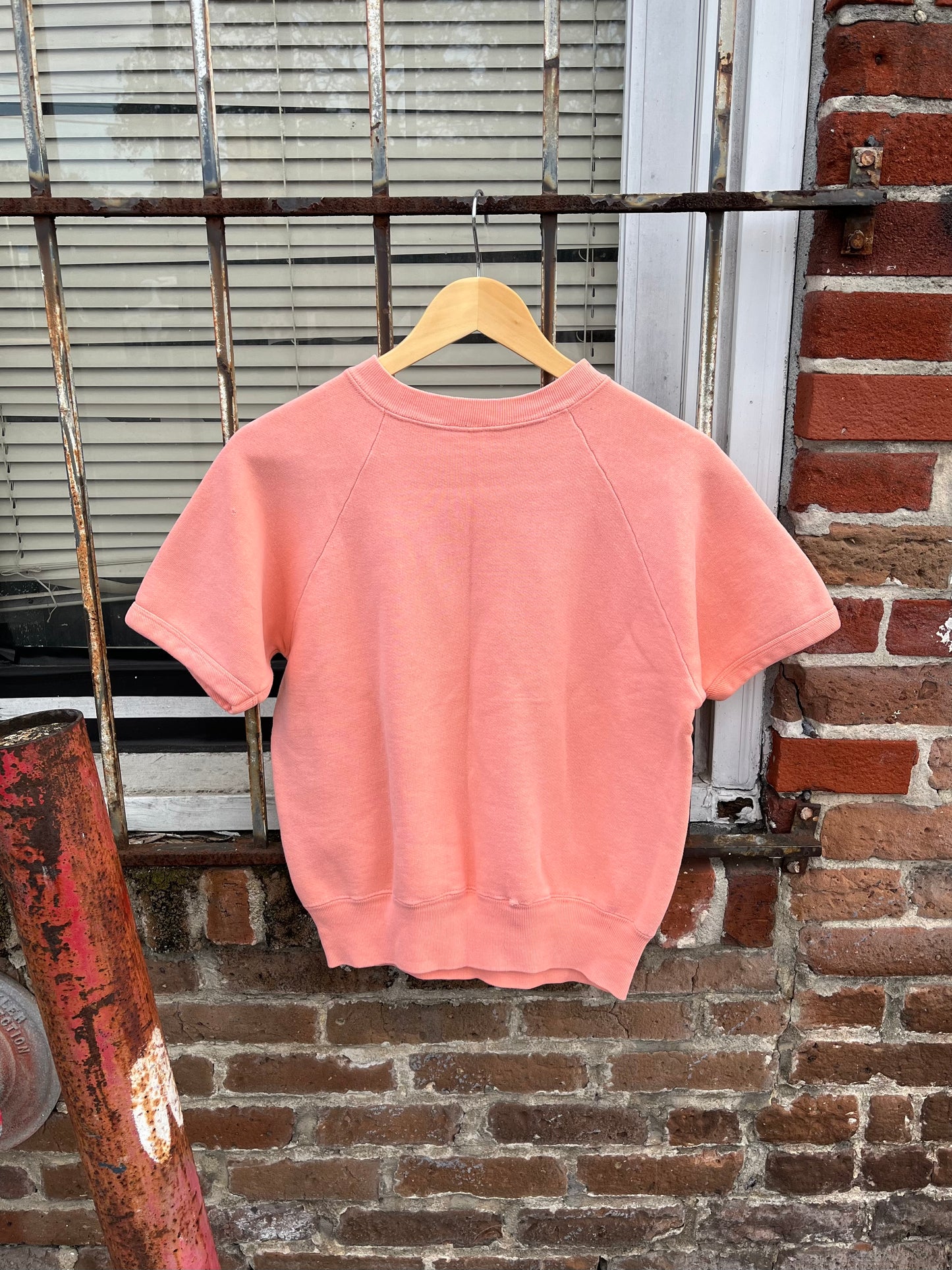 1960’s ‘Mate Wanted’ Flocked Short Sleeve Sweatshirt (S/M)