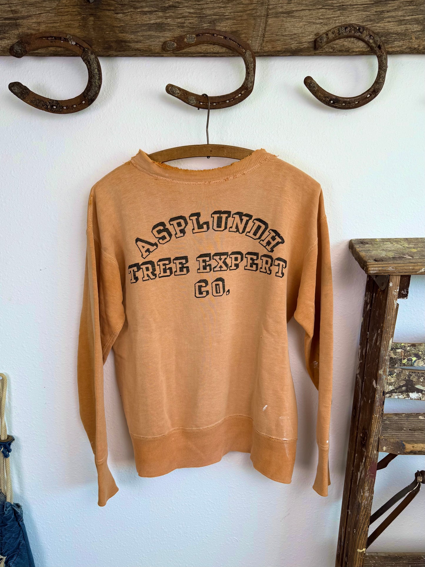 1950s Asplundh Tree Expert Orange Sun Faded Sweatshirt (L)