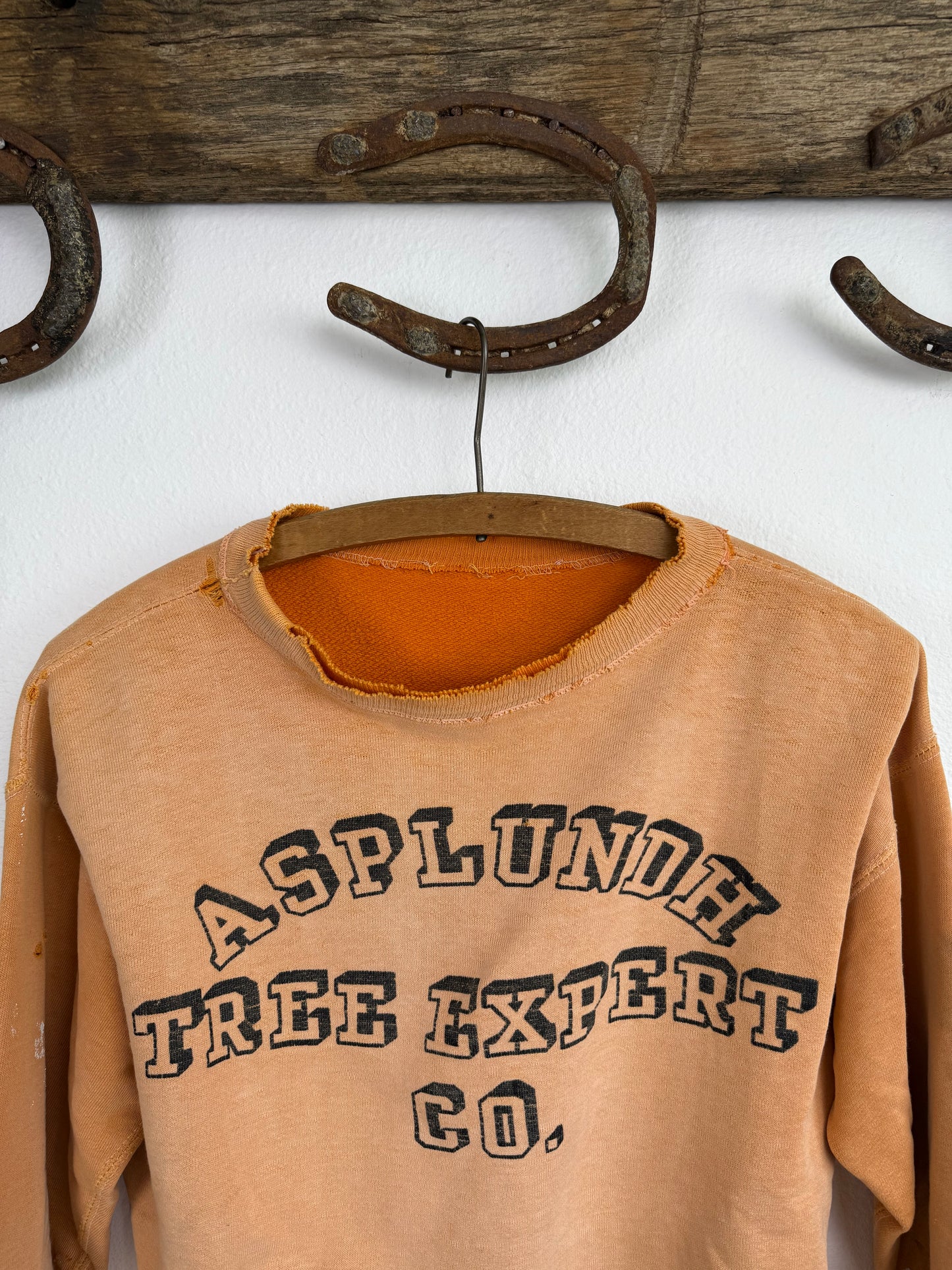 1950s Asplundh Tree Expert Orange Sun Faded Sweatshirt (L)