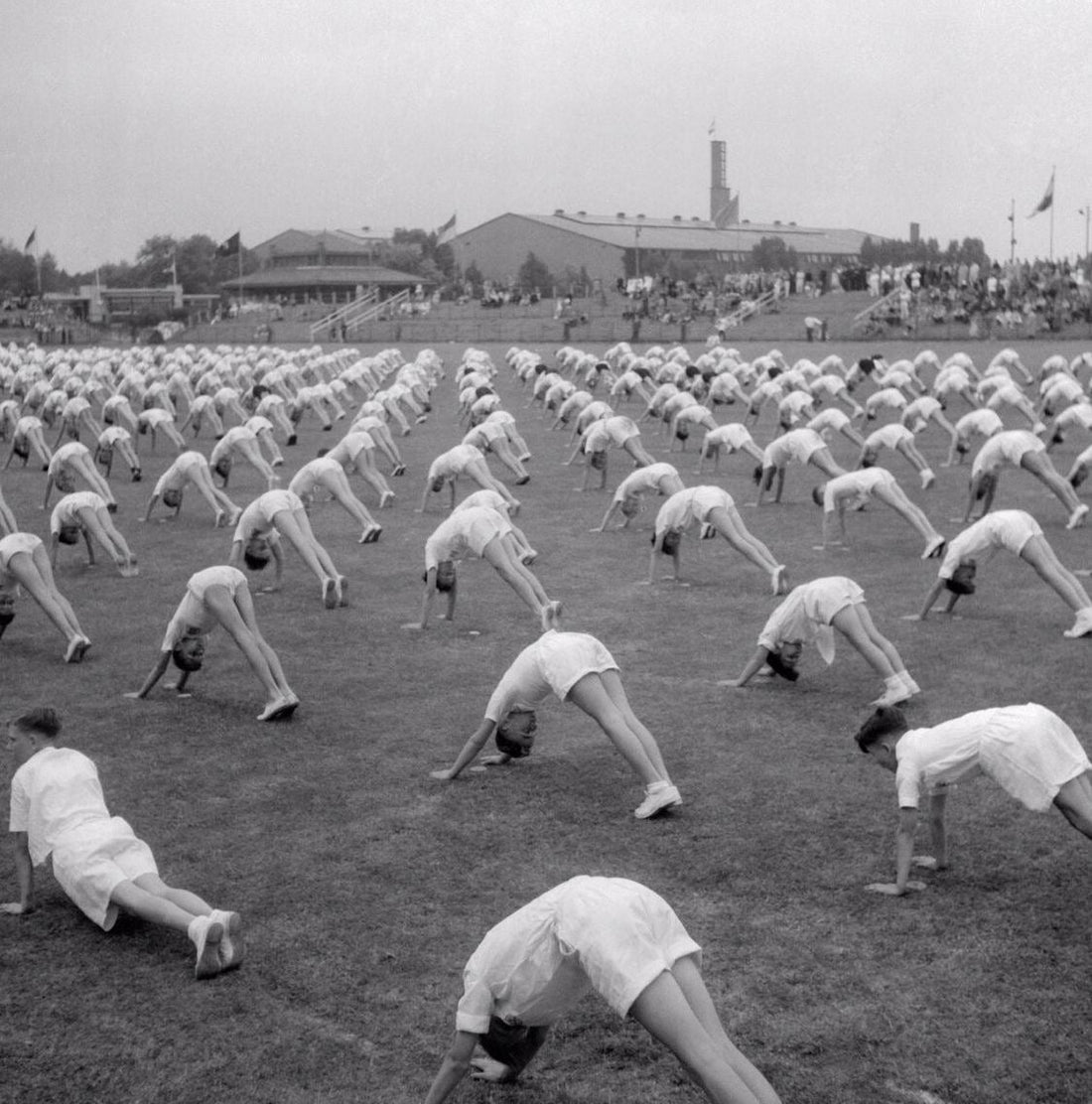 "The Soft American": How Gym Class Was During The 1950s and 1960s.