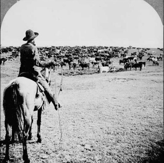 The True Western Cowboy